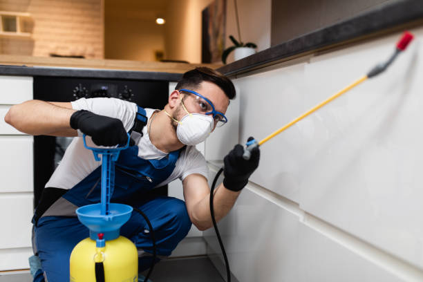 Best Pest Control for Homes  in Johnstown, PA