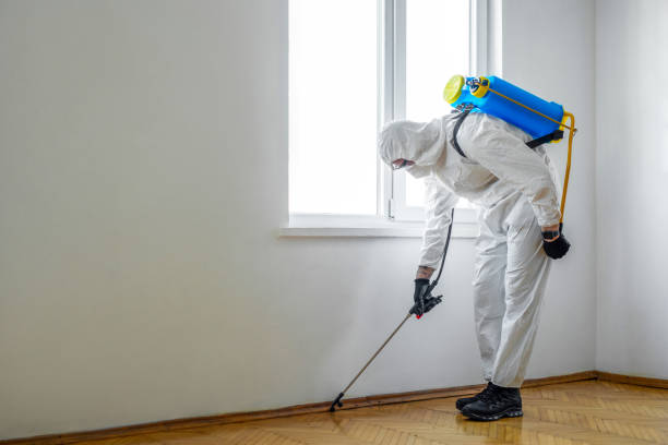 Best Wildlife Control Services  in Johnstown, PA