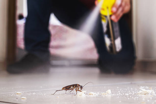Trusted Johnstown, PA Pest Control Experts