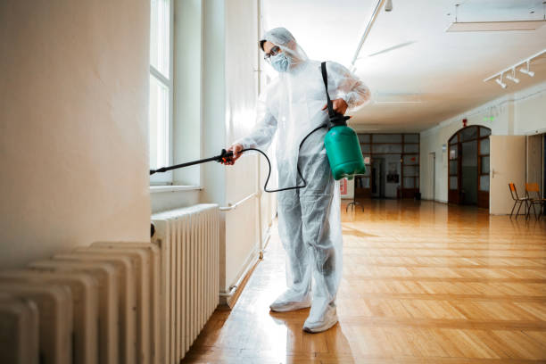 Best Insect Control  in Johnstown, PA