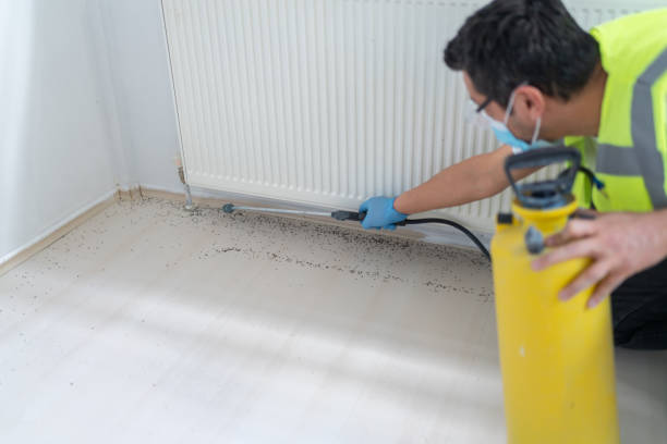Reliable Johnstown, PA Pest Control Solutions
