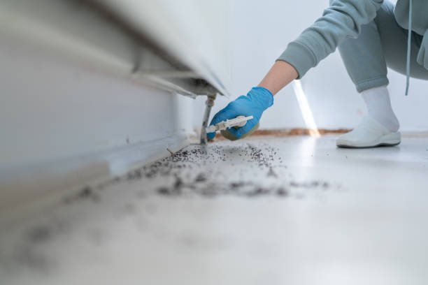 Best Cockroach Control Services  in Johnstown, PA